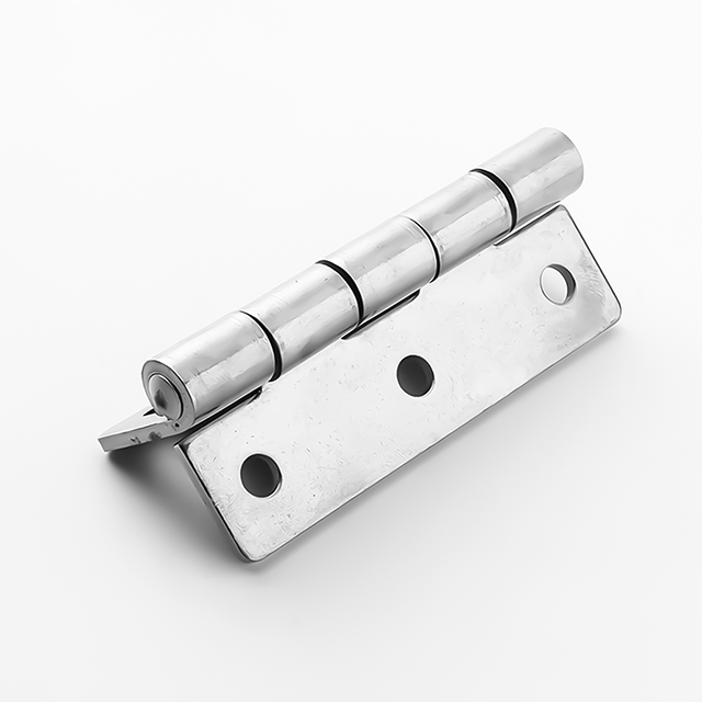 Stainless Steel 304 Spring Hinge with High Quality